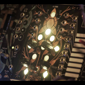 Folktek Alter 2 Effects Processor Eurorack Module